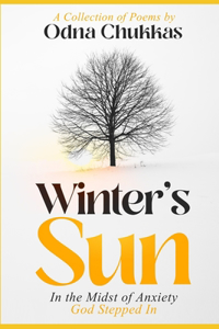 Winter's Sun