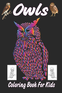 Owls Coloring Book for Kids
