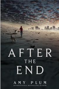 After the End