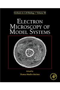 Electron Microscopy of Model Systems
