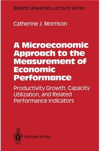 Microeconomic Approach to the Measurement of Economic Performance