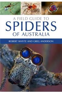 Field Guide to Spiders of Australia