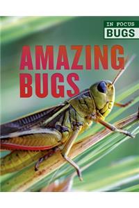 Amazing Bugs