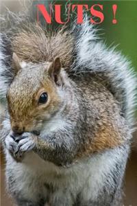 Nuts