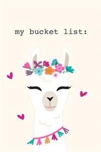 My Bucket List
