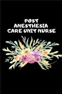Post Anesthesia Care Unit Nurse