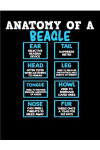 Anatomy of a Beagle