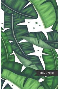 2019 - 2020