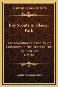 Boy Scouts In Glacier Park