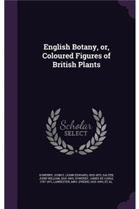 English Botany, Or, Coloured Figures of British Plants