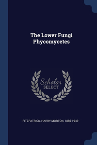 Lower Fungi Phycomycetes