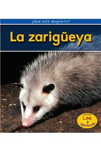 La Zarigüeya