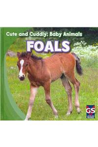 Foals