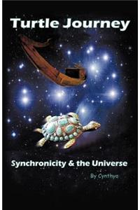 Turtle Journey