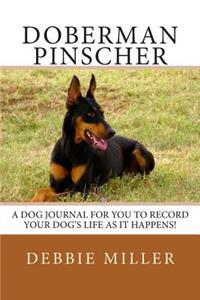 Doberman Pinscher