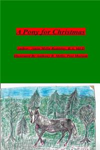 Pony for Christmas