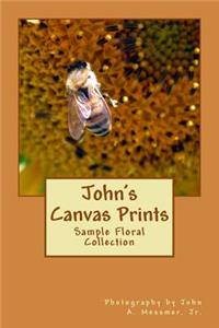 John's Canvas Prints