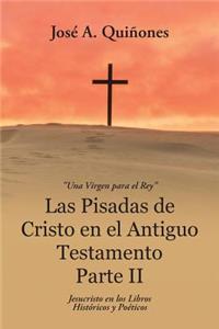 Pisadas de Cristo en el Antiguo Testamento Parte II
