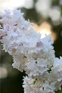 Blooming White Lilac Journal