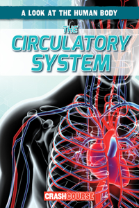 Circulatory System