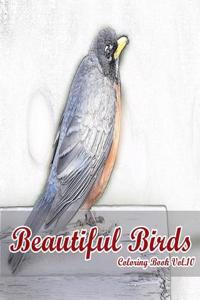 Beautiful Birds: Coloring Book Vol.10: An Adult Mindful Coloring Book of Birds in a Variety of Styles