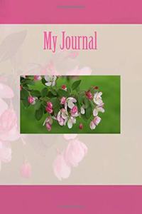 My Journal