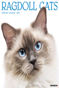 Ragdoll Cats 2021 Wall Calendar