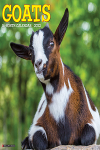 Goats 2023 Wall Calendar