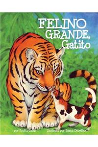 Felino Grande, Gatito