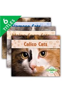 Cats Set 1 (Set)