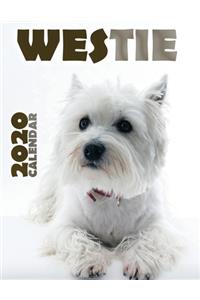 Westie 2020 Calendar