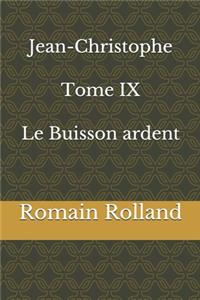 Jean-Christophe Tome IX Le Buisson ardent