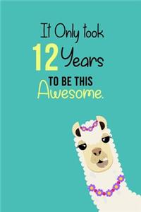 It Only Took 12 Years to be this Awesome
