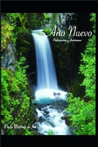 Año Nuevo