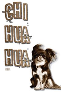 Cool Chihuahua