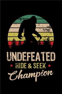 Bigfoot Hide And Seek World Champion