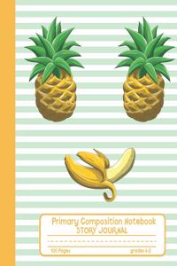 Primary Composition Notebook Story Journal
