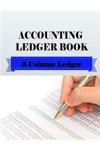 Accounting Ledger Book