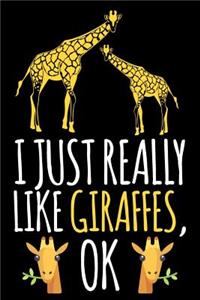 I Just Really Like Giraffes, Ok