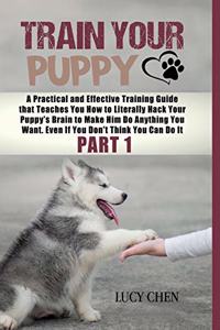 Train your Puppy