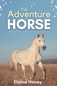 Adventure Horse - Book 5 in the Connemara Horse Adventure Series for Kids