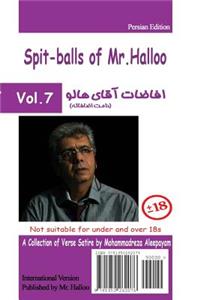 Mr Halloo (Book 7)
