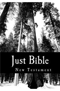 Just Bible