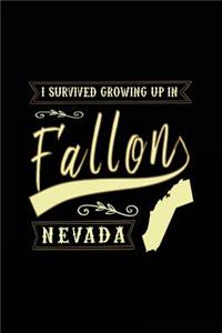 I Survived Growing Up In Fallon Nevada