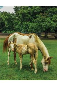 Horse Lovers Journal (8.5x11