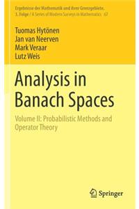 Analysis in Banach Spaces