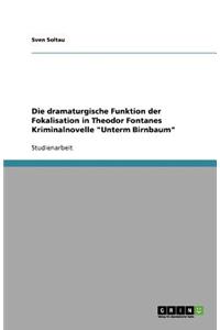 Die dramaturgische Funktion der Fokalisation in Theodor Fontanes Kriminalnovelle Unterm Birnbaum