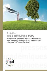 Pile À Combustible Sofc