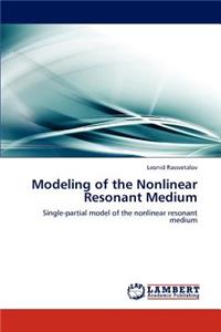 Modeling of the Nonlinear Resonant Medium