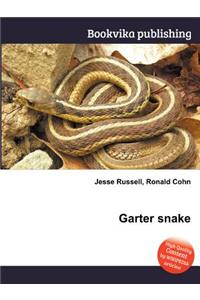 Garter Snake